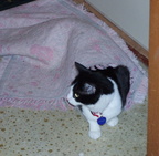 carlos 2004-12-10 3e