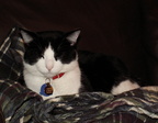 carlos 2006-12-05 3e