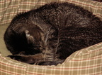 emily 2006-01-30 1e