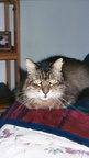 oliver 2002-02-02 1e