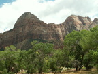 zion 2005-08-25 047e