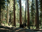 yosemite 2005-08-29 092e