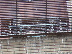 uptown falcons 2004-06-09 02e